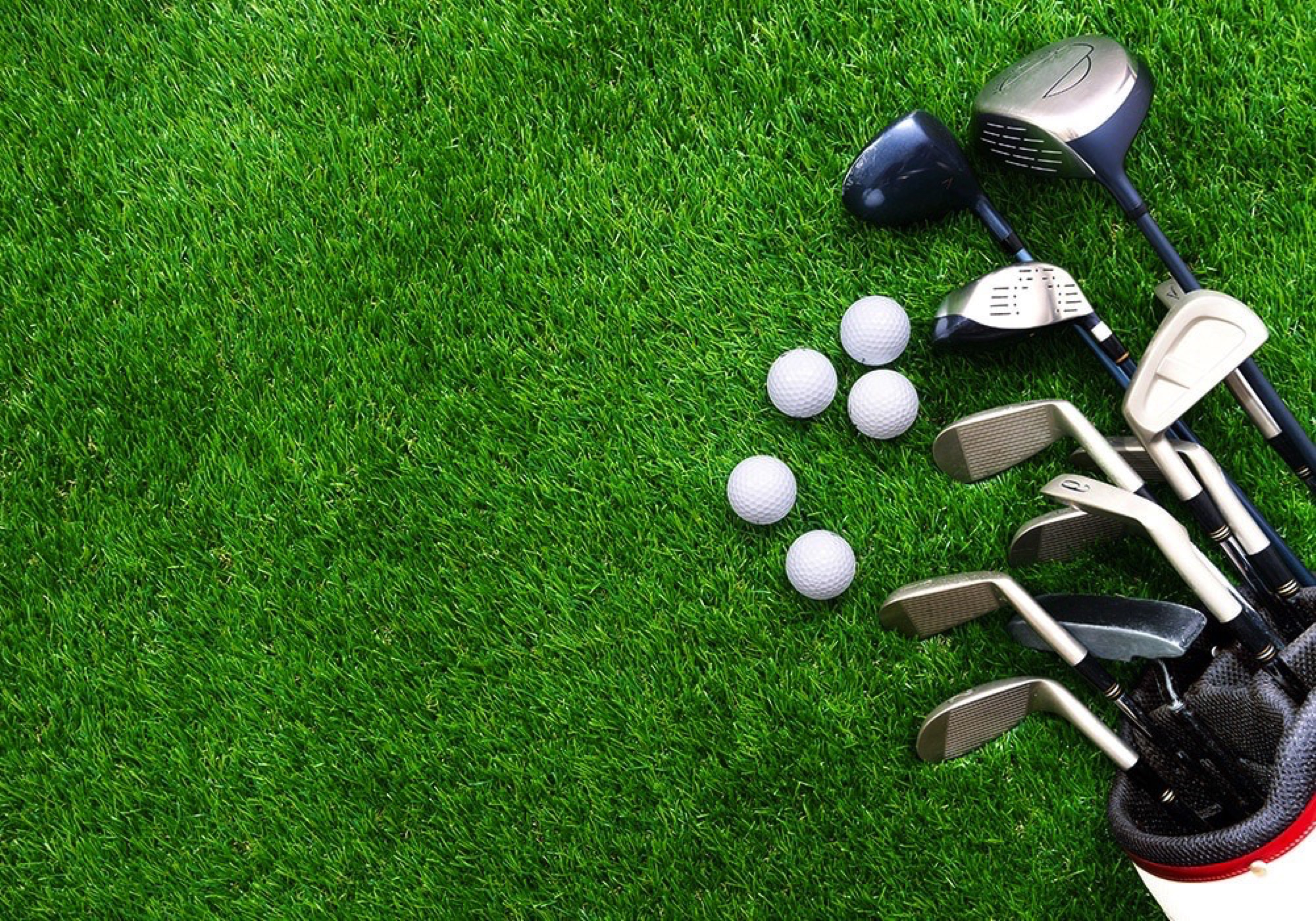 Seven Seas Mariner - Golf Nets